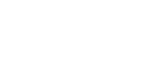 PockyLogo_white
