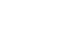 RCG_logo_white_02